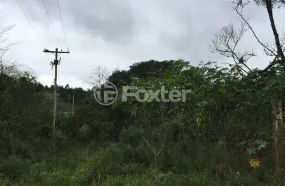 Terreno à venda na estrada do rincão, 2820, belém velho, porto alegre, 32500 m2 por r$ 480.000