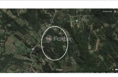 Terreno à venda na estrada são caetano, 2142, lami, porto alegre, 270000 m2 por r$ 5.500.000