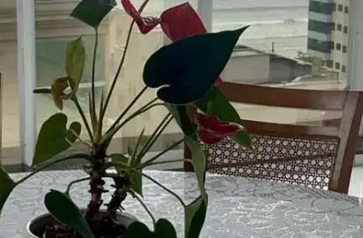 Apartamento 4 dormitórios à venda meia praia itapema/sc