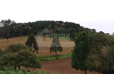 Chácara à venda, 193000.00 m2 por r$700000.00  - socavao - castro/pr
