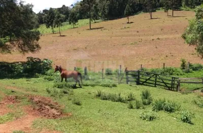 Chácara à venda, 193000.00 m2 por R$900000.00  - Socavao - Castro/PR