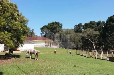 Fazenda à venda, 3600.00 m2 por r$9000000.00  -  - castro/pr