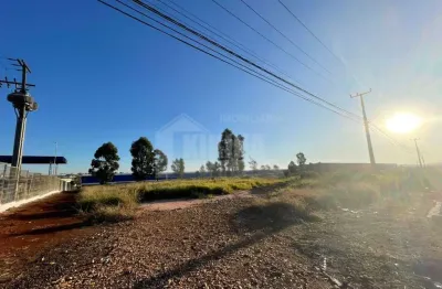 Terreno para alugar, 12000.00 m2 por r$25000.00  - colonia dona luiza - ponta grossa/pr