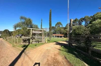 Chácara à venda, 3800.00 m2 por r$1650000.00  - contorno - ponta grossa/pr