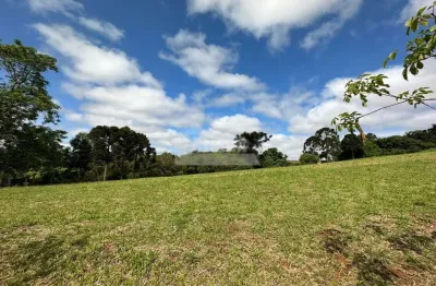 Terreno para alugar, 10050.00 m2 por r$3000.00  - chapada - ponta grossa/pr