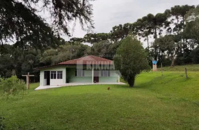 Chácara à venda, 54450.00 m2 por r$600000.00  - centro - ipiranga/pr