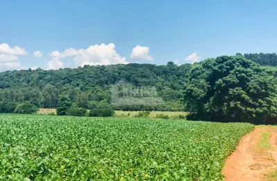 Chácara à venda, 112085.00 m2 por r$3500000.00  - colonia dona luiza - ponta grossa/pr