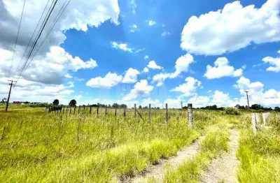 Terreno para alugar, 3650.00 m2 por r$13000.00  - colonia - carambei/pr