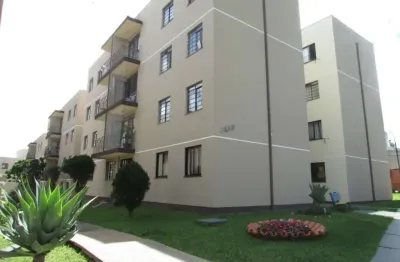 Apartamento com 3 quartos  à venda, 65.00 m2 por r$160000.00  - colonia dona luiza - ponta grossa/pr