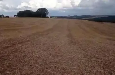 Fazenda à venda, 0.00 m2 por r$4800000.00  - zona rural - tibagi/pr