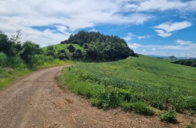Fazenda à venda, 0.00 m2 por r$13500000.00  - reserva - reserva/pr