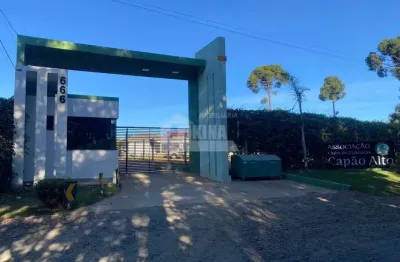 Terreno à venda, 1014.00 m2 por r$350000.00  - colonia dona luiza - ponta grossa/pr