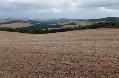 Fazenda à venda, 0.00 m2 por r$2800000.00  - alto do amparo - tibagi/pr