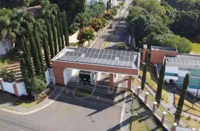 Terreno à venda na Avenida União Pan-americana, 100, Colônia Dona LuÍza, Ponta Grossa