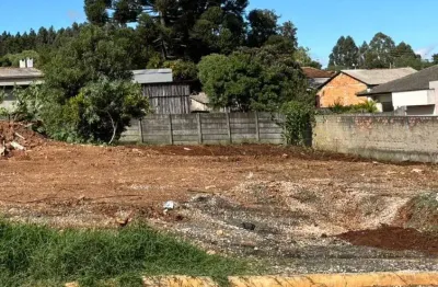 Terreno à venda, 450.00 m2 por r$170000.00  - cara-cara - ponta grossa/pr