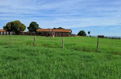 Fazenda à venda, 4501200.00 m2 por r$31620000.00  - area rural de umuarama - umuarama/pr