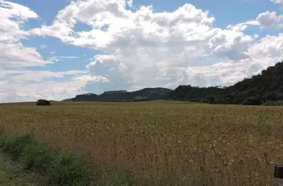 Fazenda à venda, 1089000.00 m2 por r$5800000.00  - rural - candido de abreu/pr
