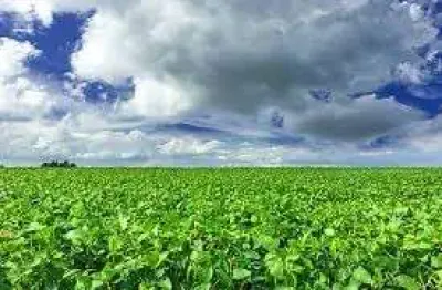 Fazenda à venda, 24200000.00 m2 por r$200000000.00  - rural - colider/mt