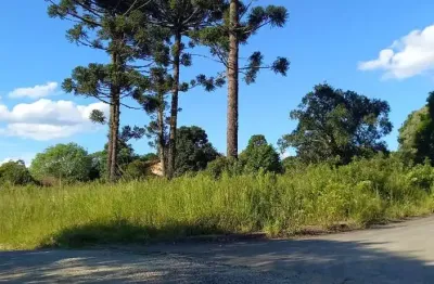 Terreno à venda, 0.00 m2 por r$450000.00  - engenheiro gutierrez - irati/pr