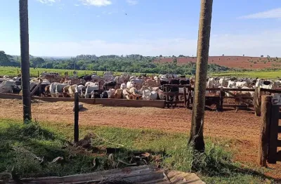 Fazenda à venda, 2613600.00 m2 por r$18360000.00  - area rural de umuarama - umuarama/pr