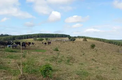 Fazenda à venda, 2541000.00 m2 por r$15000000.00  - rural - curiuva/pr