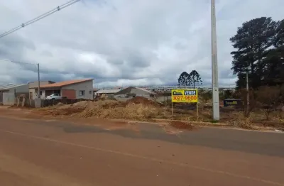 Terreno à venda, 300.28 m2 por r$127000.00  - cara-cara - ponta grossa/pr