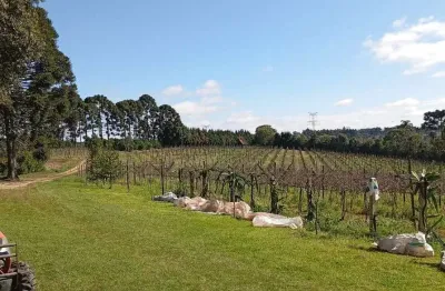 Chácara à venda, 177060.00 m2 por r$2000000.00  - distrito de guaragi - ponta grossa/pr