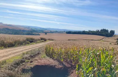 Fazenda à venda na (Consulte A Imobiliaria), Zona Rural, Ariranha do Ivaí