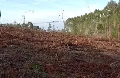 Chácara / sítio à venda na (Consulte A Imobiliaria), Centro, Tibagi