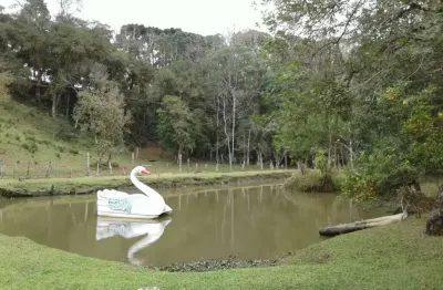 Chácara / sítio à venda na Lagoa Dos Pintos, Itaiacoca, Ponta Grossa
