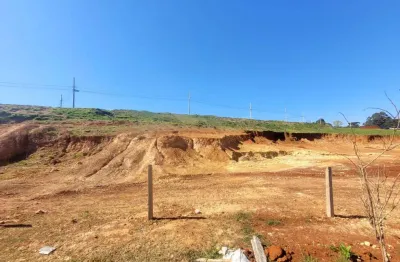 Terreno à venda na Rua Anna Eliza Zanon, Cará-cará, Ponta Grossa