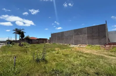 Terreno comercial para alugar na Rua Siqueira Campos, 4001, Cará-cará, Ponta Grossa