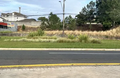 Terreno para alugar, 1485.00 m2 por r$15000.00  - jardim carvalho - ponta grossa/pr