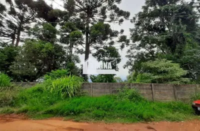 Terreno à venda, 1156.00 m2 por r$600000.00  - uvaranas - ponta grossa/pr