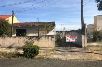 Amplo terreno com 360 m², em aclive, ideal para futuros projetos ou ampliações