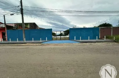 Terreno para aluguel com no bairro gaivota (interior)