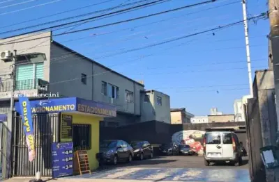 Terreno para locação em são paulo, vila doutor eiras