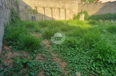 Terreno residencial à venda, jardim das paineiras, campinas