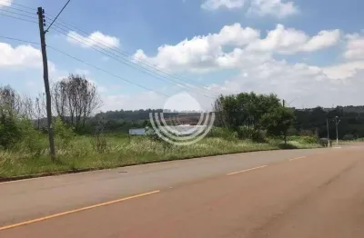 Terreno comercial à venda na Rua Maria Olga de Carvalho Alves, Betel, Paulínia
