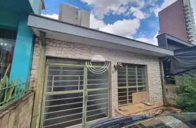 Casa para alugar em Campinas, Cambuí, com 3 quartos, com 300 m²
