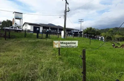 Fazenda à venda, 385000 m² por r$ 1.150.000,00 - zona rural - pau brasil/ba