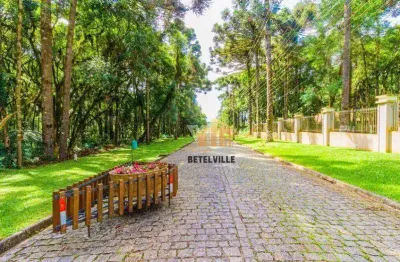 Terreno à venda, 3603 m² por r$ 1.100.000,00 - jardim esmeralda - piraquara/pr