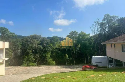 Área à venda, 48000 m² por r$ 4.000.000,00 - jardim maria matutina - colombo/pr