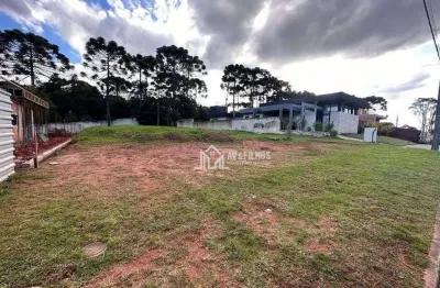 Terreno residencial à venda, vila fuck, piraquara - te0020.