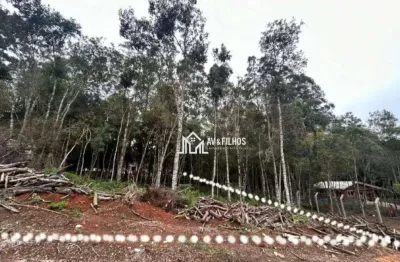 Chácara em condomínio   1.560,72 m²  à venda por  r$ 185.000,00.