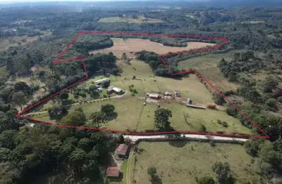 Chácara com 1 dormitório à venda, 28712900 m² por r$ 8.000.000,00 - capoeira dos dinos - piraquara/pr