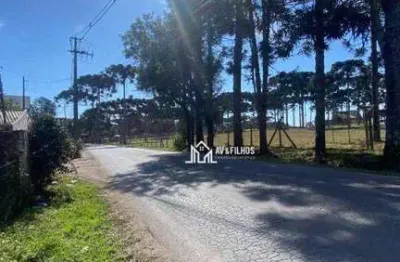 Terreno à venda, 261 m² por r$ 186.500,00 - guarituba - piraquara/pr