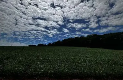 Chácara / sítio à venda na Zona Rural, Marechal Cândido Rondon 
