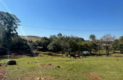 Chácara / sítio à venda na Zona Rural, Marechal Cândido Rondon 