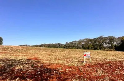 Chácara / sítio à venda na Zona Rural, Marechal Cândido Rondon 